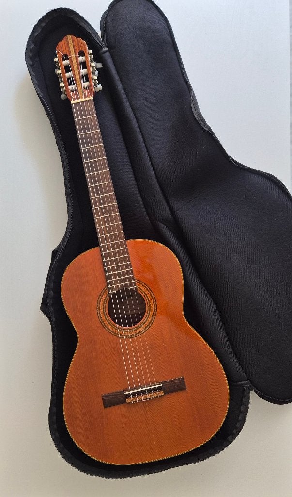 Ibanez 2840 — vintage Japan klassieke gitaar incl. hoes, Muziek en Instrumenten, Ophalen, Gebruikt, Klassieke of Spaanse gitaar