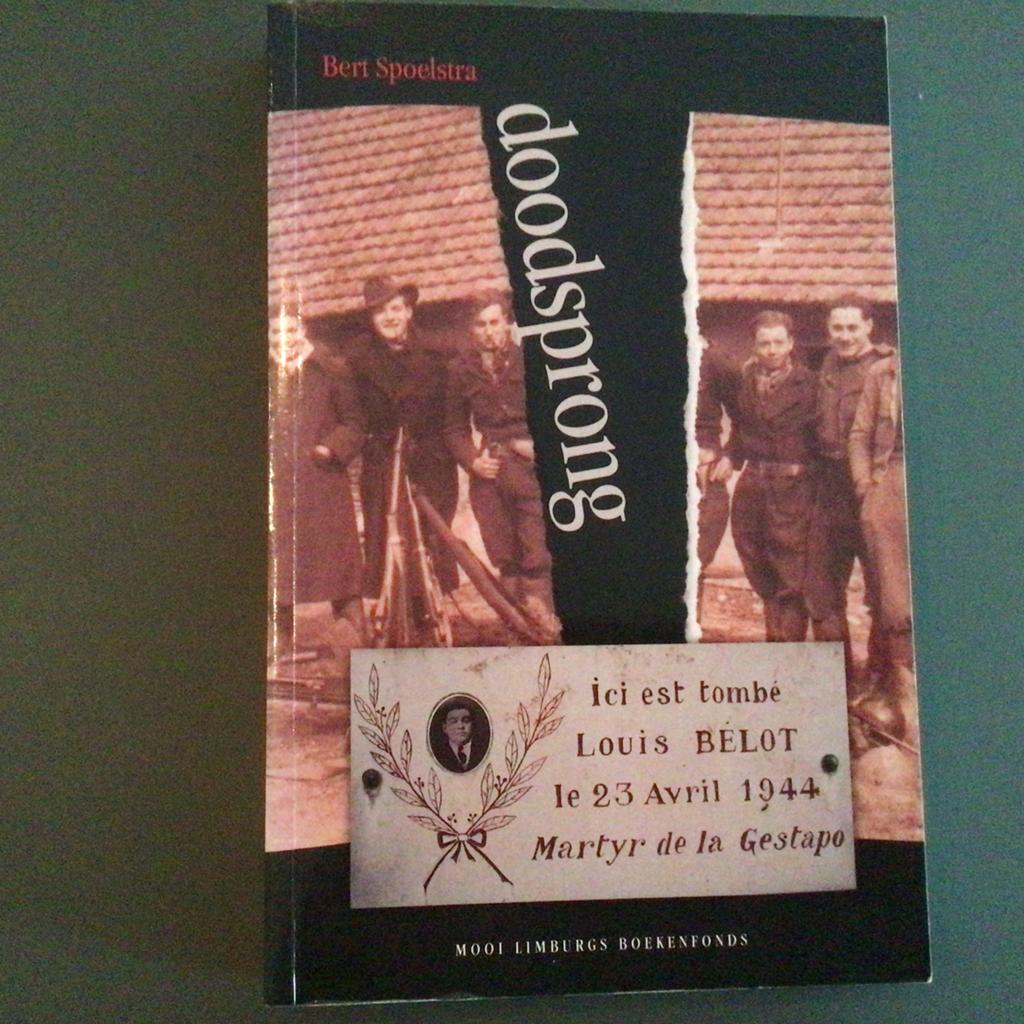 Bert Spoelstra - De Doodsprong, Gelezen, Bert Spoelstra, Ophalen of Verzenden, Nederland