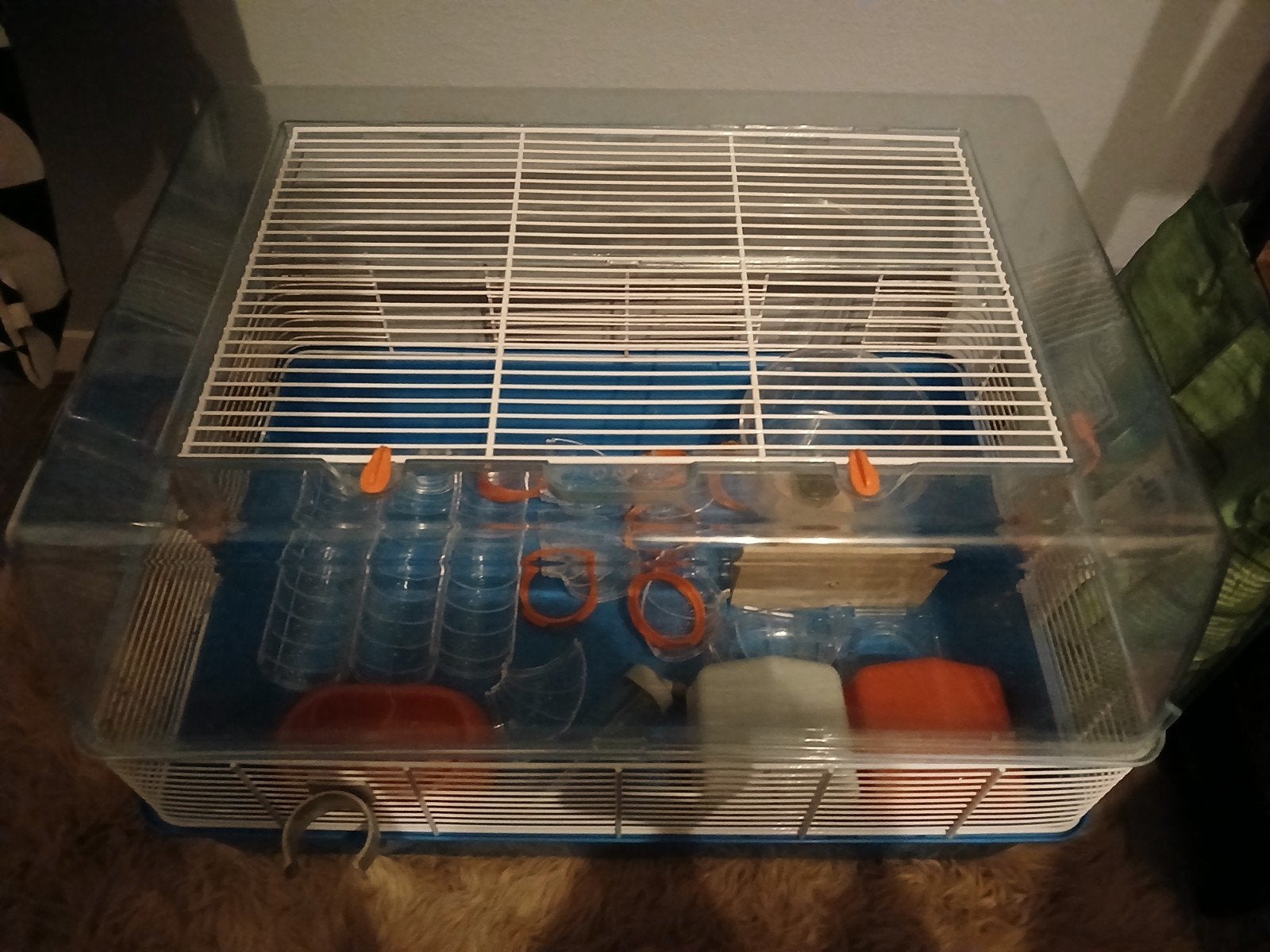 Knaagdierhok plastic, Dieren en Toebehoren, Kooi, Minder dan 75 cm, Zo goed als nieuw, Muis