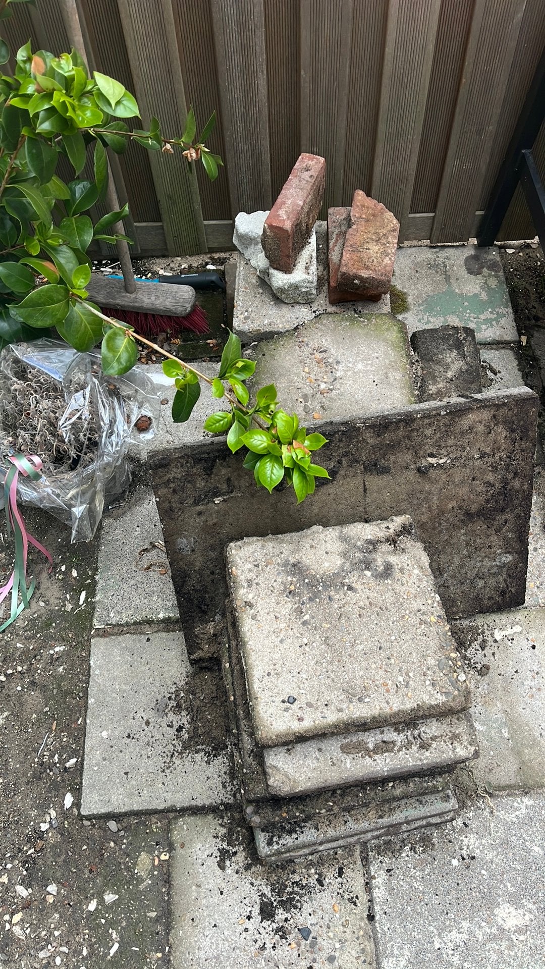 Gratis stoeptegels +/- 60 stuks, Ophalen, Gebruikt, Minder dan 5 m², Beton