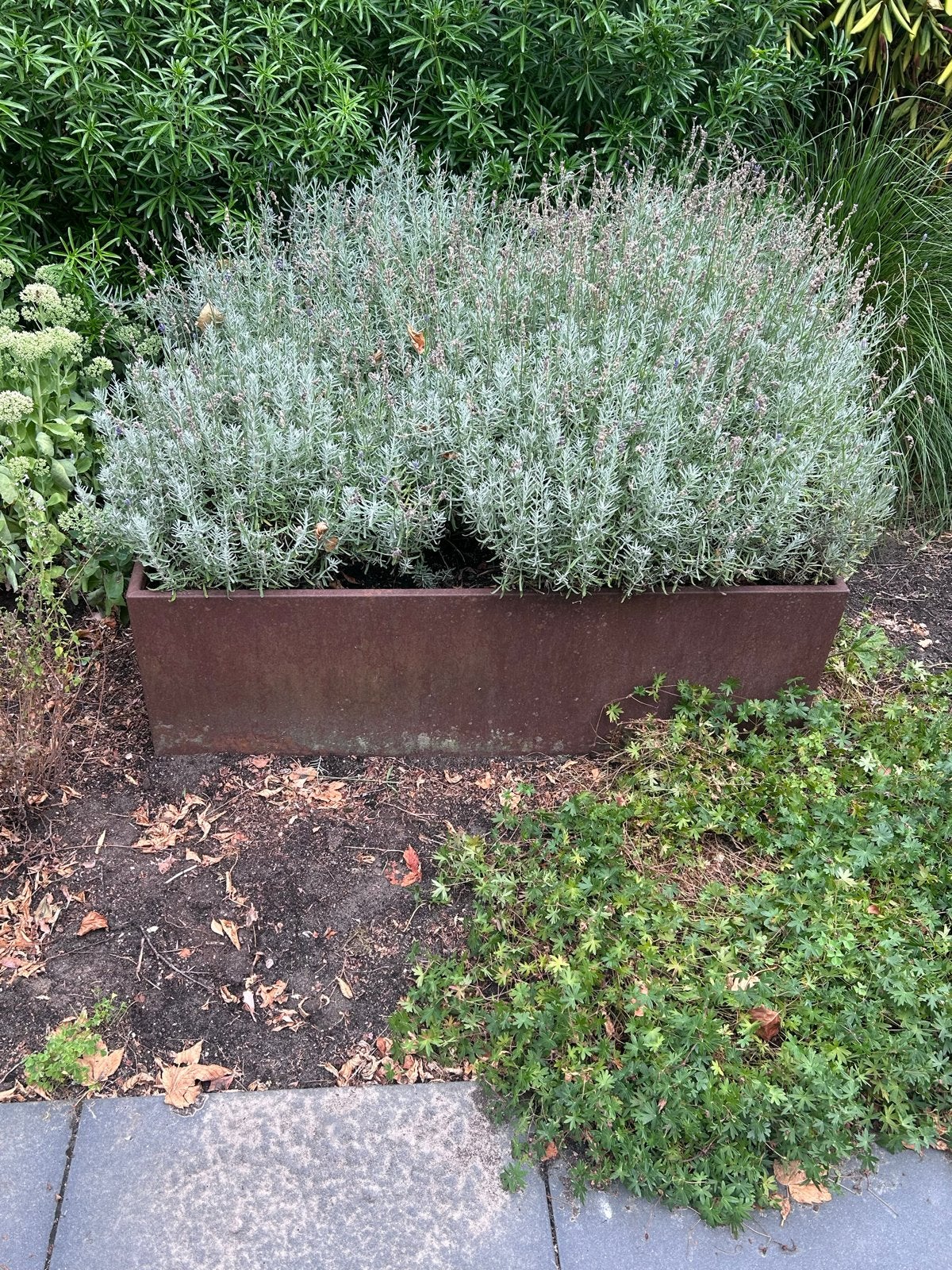 Twee vierkante plantenbakken van cortenstaal 120x120x40cm, Tuin en Terras, Bloembakken en Plantenbakken, Ophalen, Gebruikt, 100 cm of meer