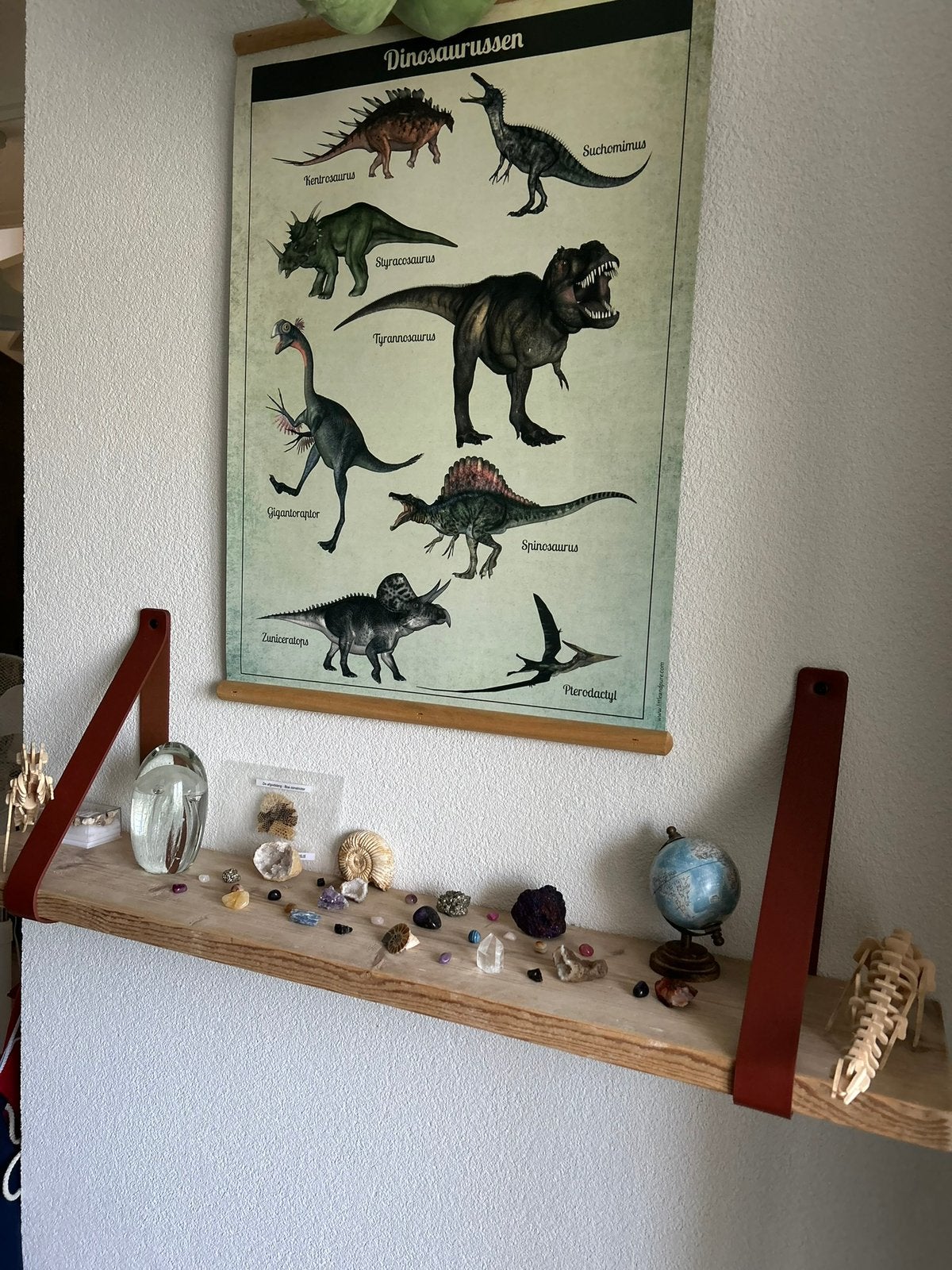 Schoolplaat dinosaurussen dubbelzijdig als nieuw, Ophalen of Verzenden, Zo goed als nieuw, Ophangbaar, Wanddecoratie