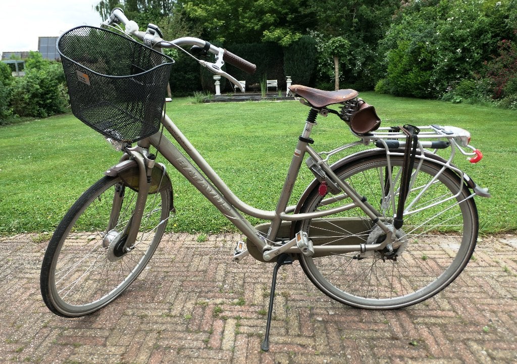 Batavus Centennial Limited Edition damesfiets, Ophalen, Gebruikt, Batavus, Versnellingen