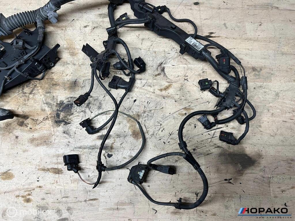 Kabelboom motor BMW E6x N47D20C, Auto-onderdelen, Gebruikt, Einsteinlaan 5 rijswijk, Bmw, Ophalen of Verzenden