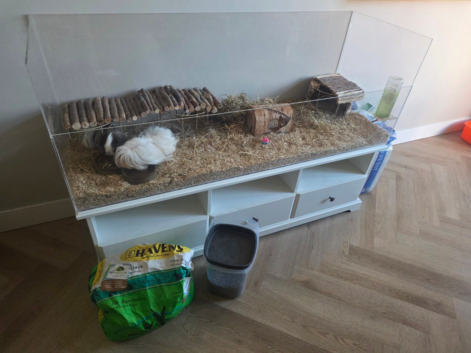 cavia hok met 2 cavia's, Dieren en Toebehoren, Cavia, April, Vrouwelijk, Tam