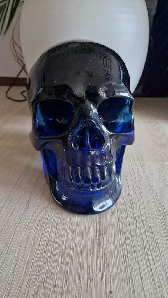 Diverse hele grote Skulls van 10kilo tot 20 kilo, Ophalen
