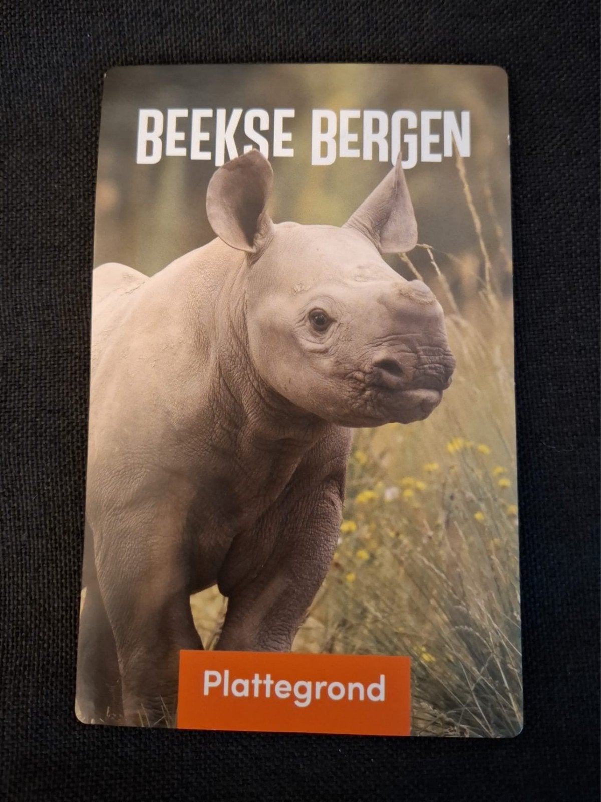 Dierentuin plattegrond Beekse Bergen Safaripark, Ophalen of Verzenden, Ongelopen