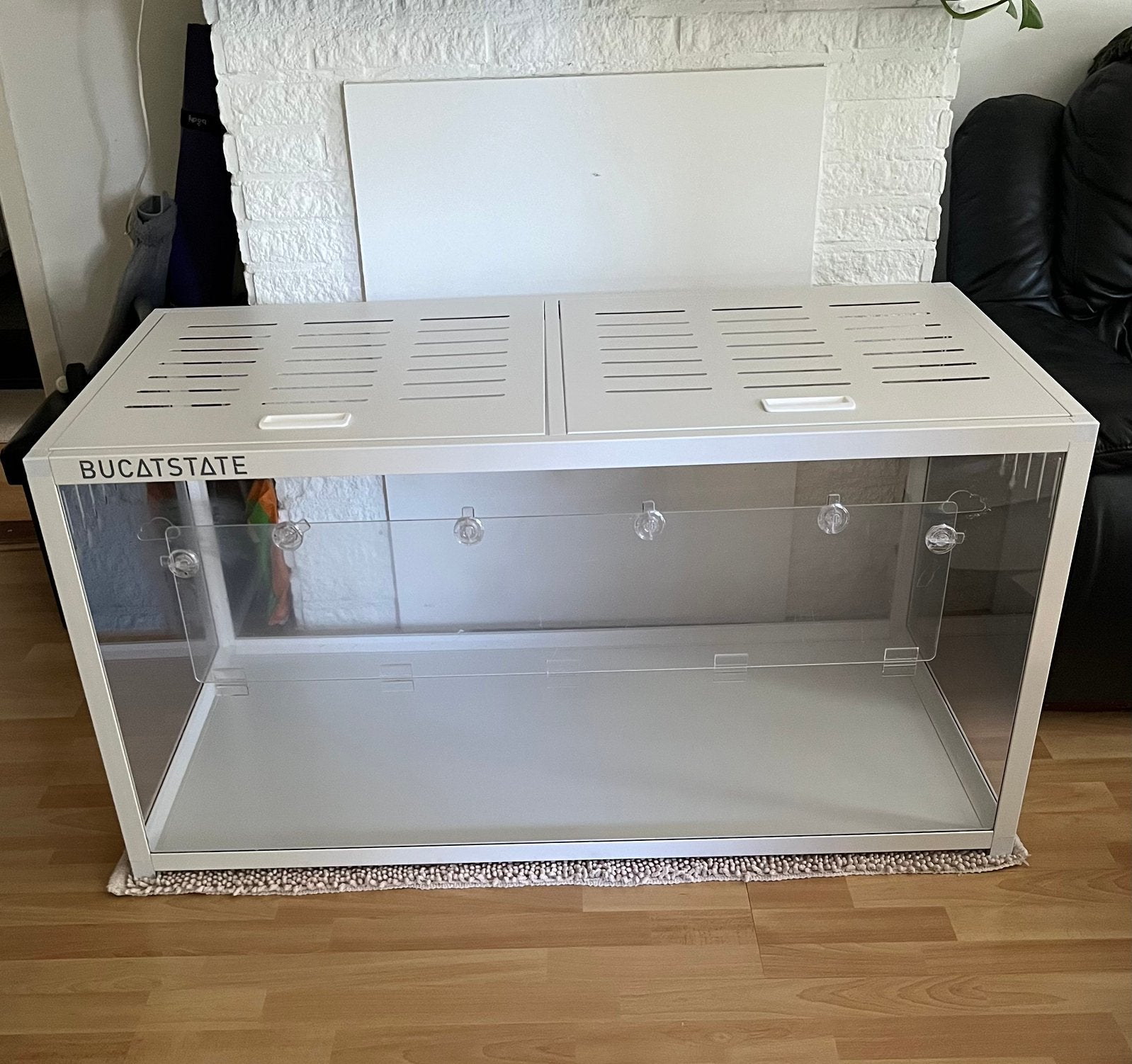 Volledige setup Syrische hamster, Ophalen, Kooi, 60 tot 90 cm, Hamster