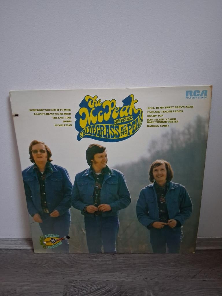 Pop/Rock Nederlandstalige LP's - Boudewijn de Groot e.a., Cd's en Dvd's, Vinyl | Pop, Ophalen of Verzenden, 1970 - 1979, Gebruikt
