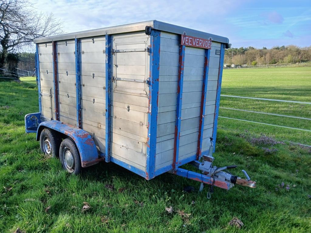 Nette veetrailer, Dieren en Toebehoren, Schapen, Geiten en Varkens, Mannelijk, Geit