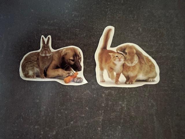 Magneet x2 Konijn, Hond, Poes Kat, Nieuw, Ophalen of Verzenden, Nieuw