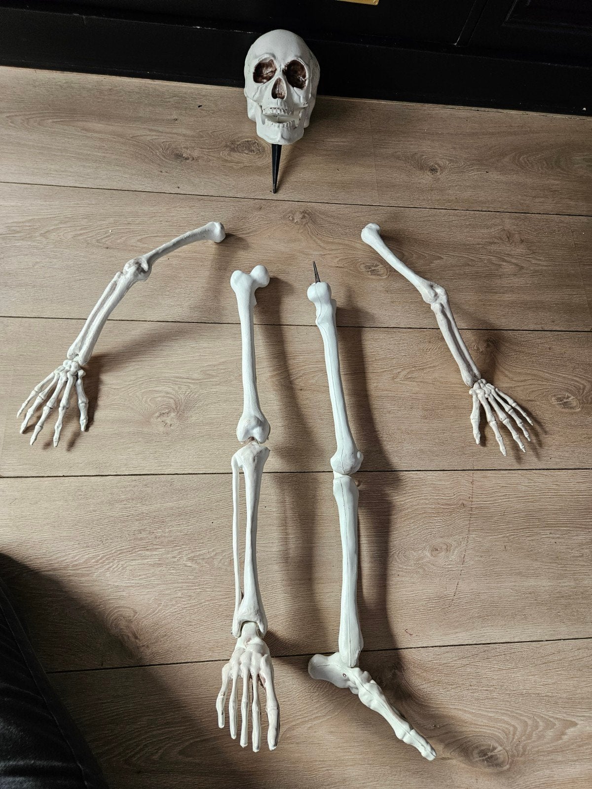 halloween  grond skelet, Ophalen of Verzenden, Gebruikt, Feestartikel, Halloween of Griezel