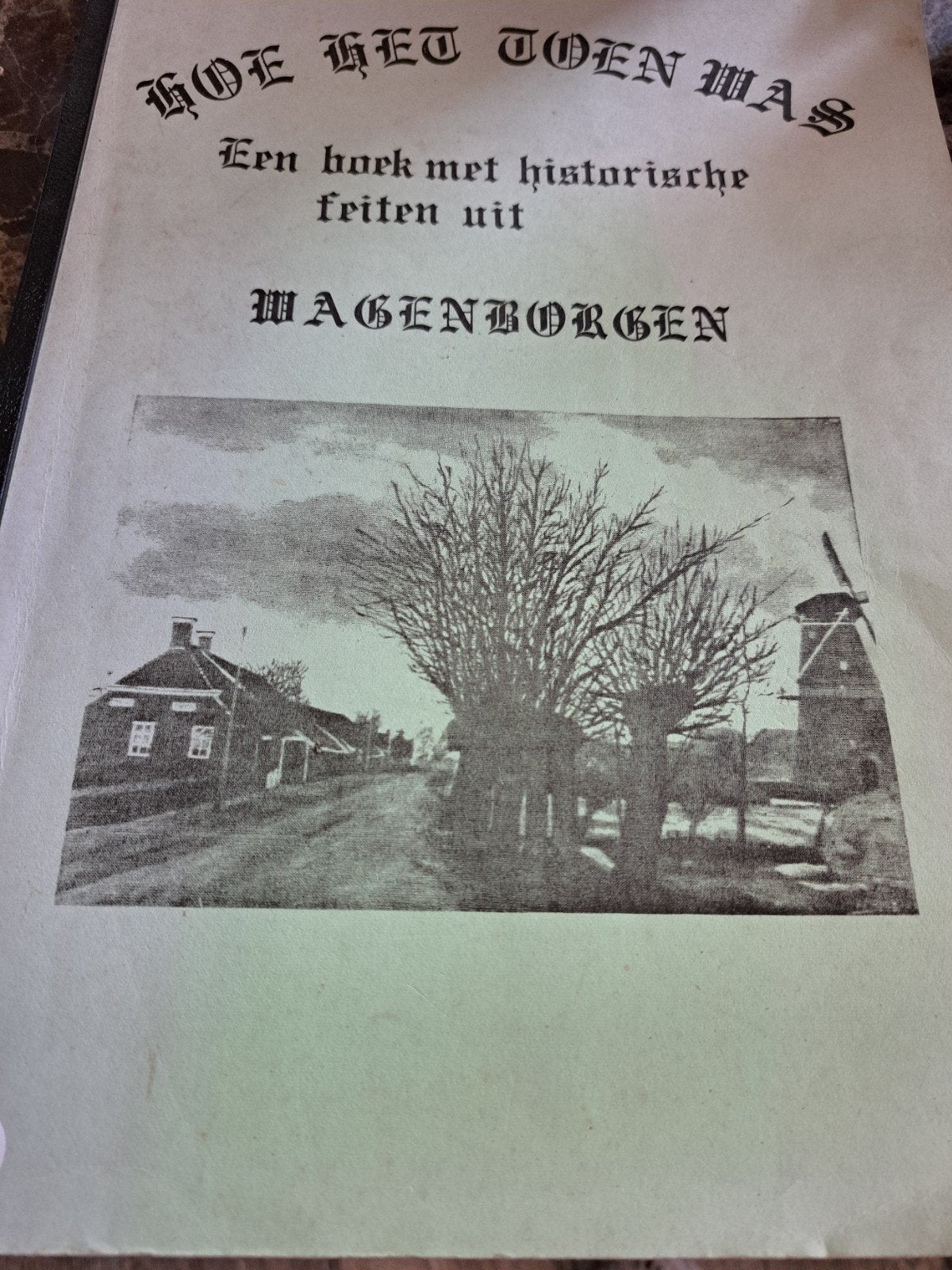 Hoe het toen was - Wagenborgen (1976), Boeken, Ophalen of Verzenden, 20e eeuw of later, Gelezen, Inwoners van Wagenborgen