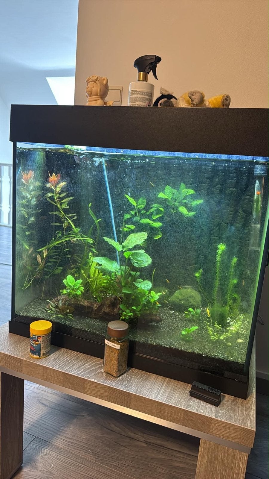 Aquarium juwel lido 120, Ophalen, Zo goed als nieuw, Leeg aquarium, Inclusief deksel