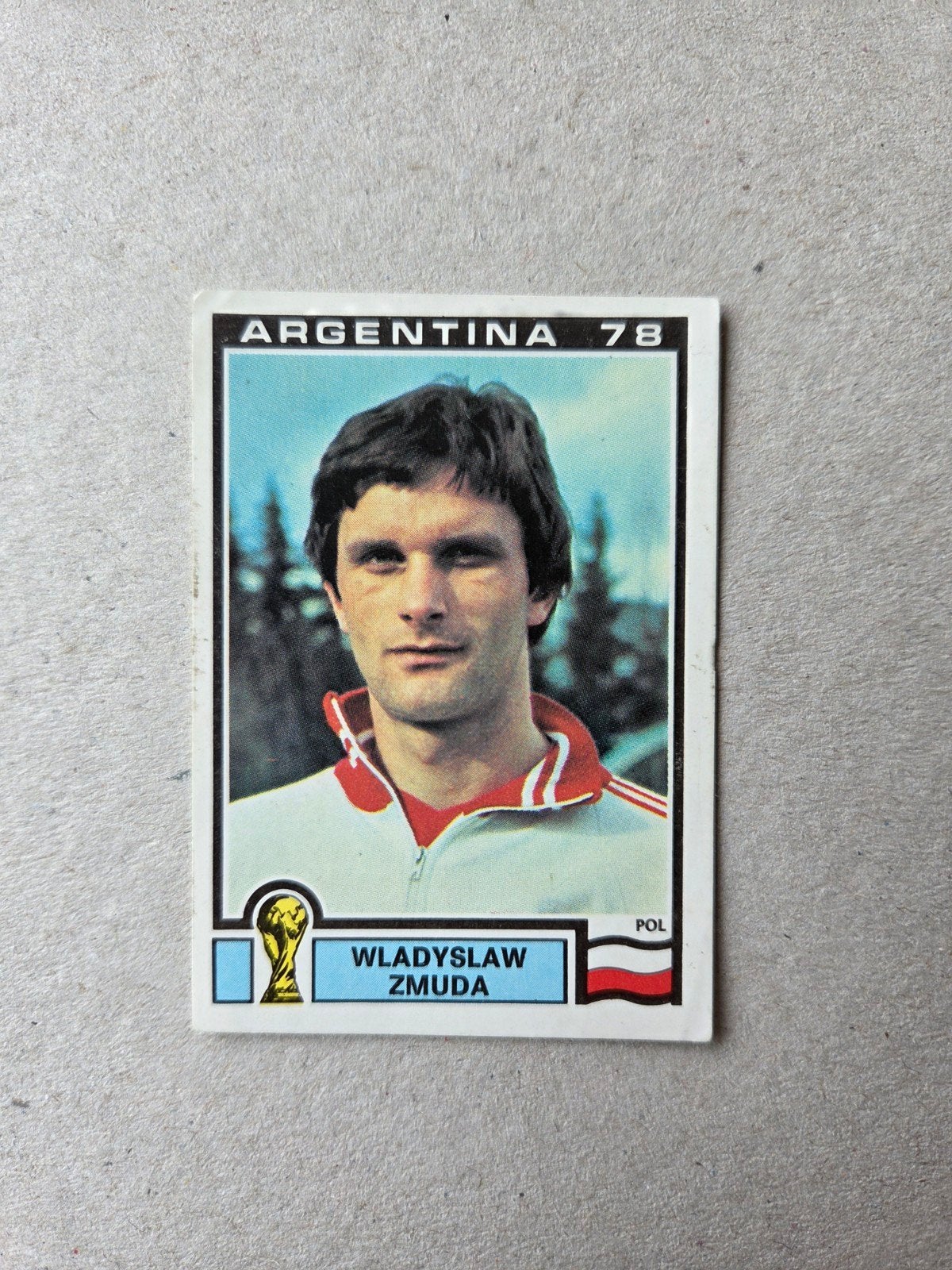 Panini WK 78, Ophalen of Verzenden, Zo goed als nieuw, Sticker