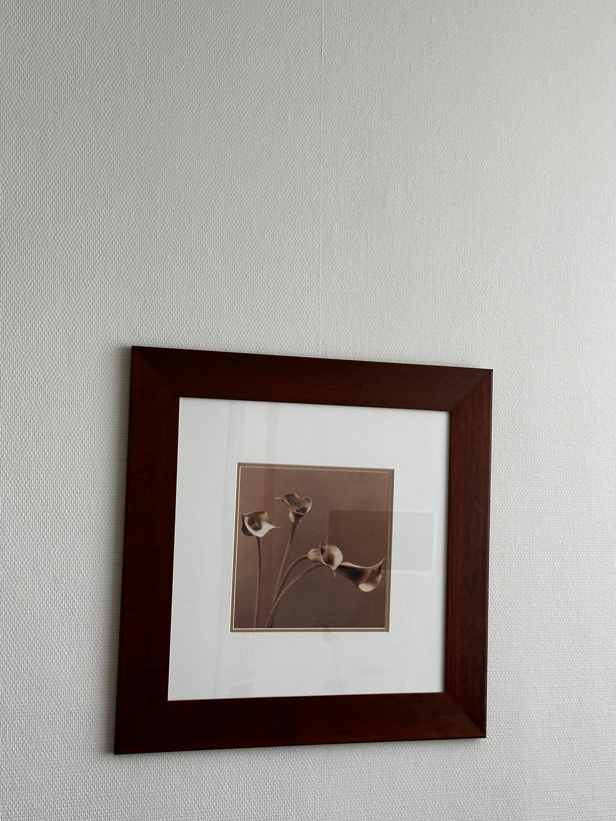 Schilderijtjes, Huis en Inrichting, Ophalen, Bruin, Gebruikt, 65 cm
