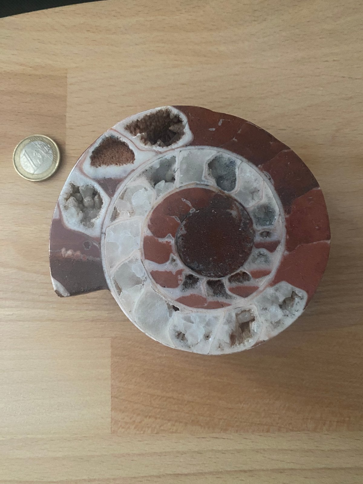 Prachtige gepolijste Ammoniet fossiel - 660 gram, Verzamelen, Mineralen en Fossielen, Ophalen of Verzenden, Fossiel