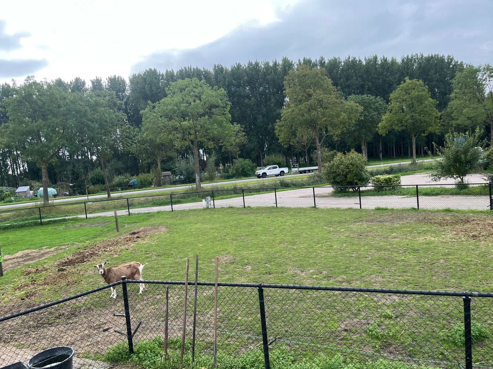 Aangeboden: 24/7 buiten pony<125, Dieren en Toebehoren, Stalling, 1 paard of pony