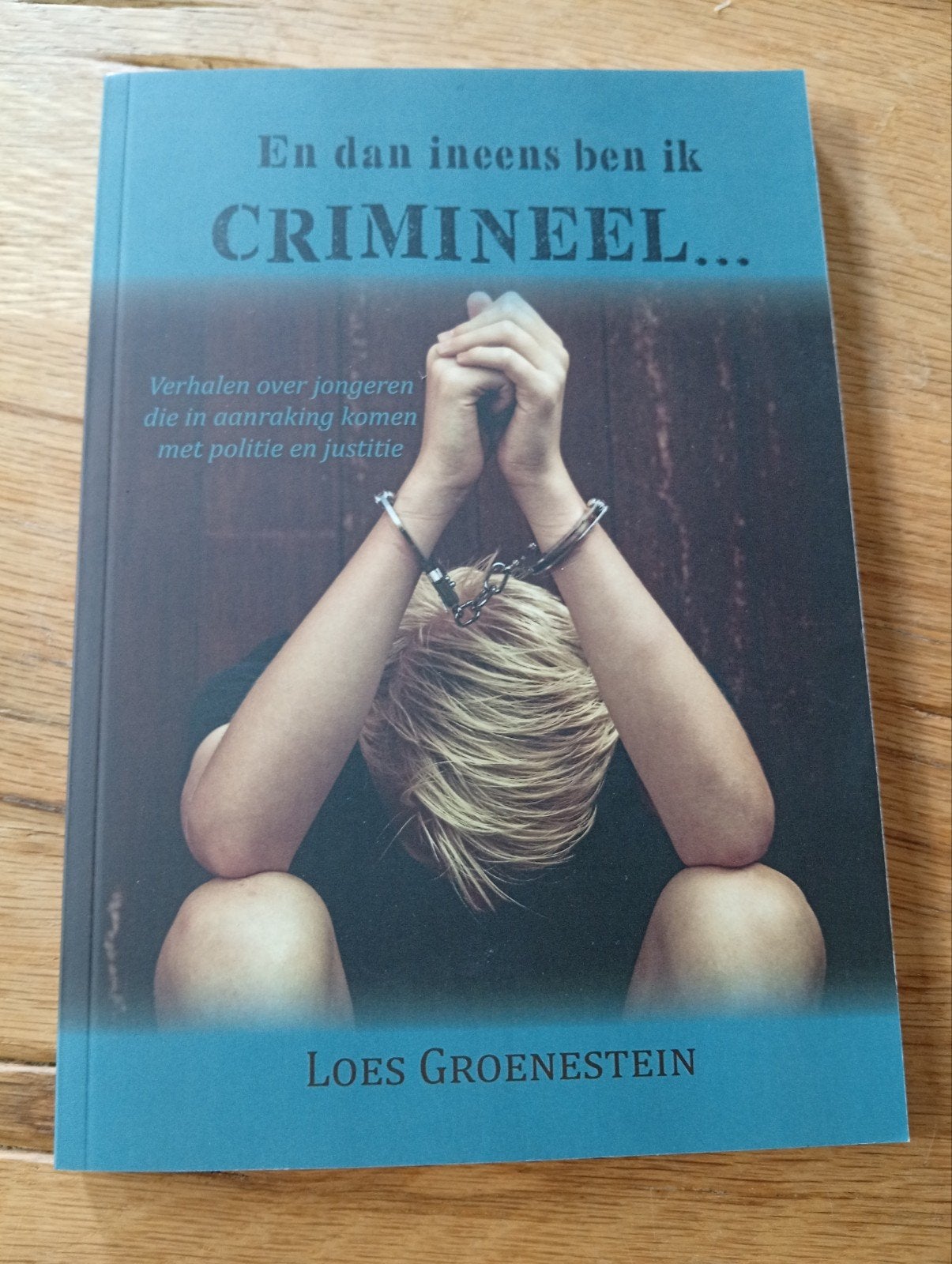En dan ineens ben ik CRIMINEEL... - Loes Groenestein, Ophalen of Verzenden, Zo goed als nieuw, Loes Groenestein