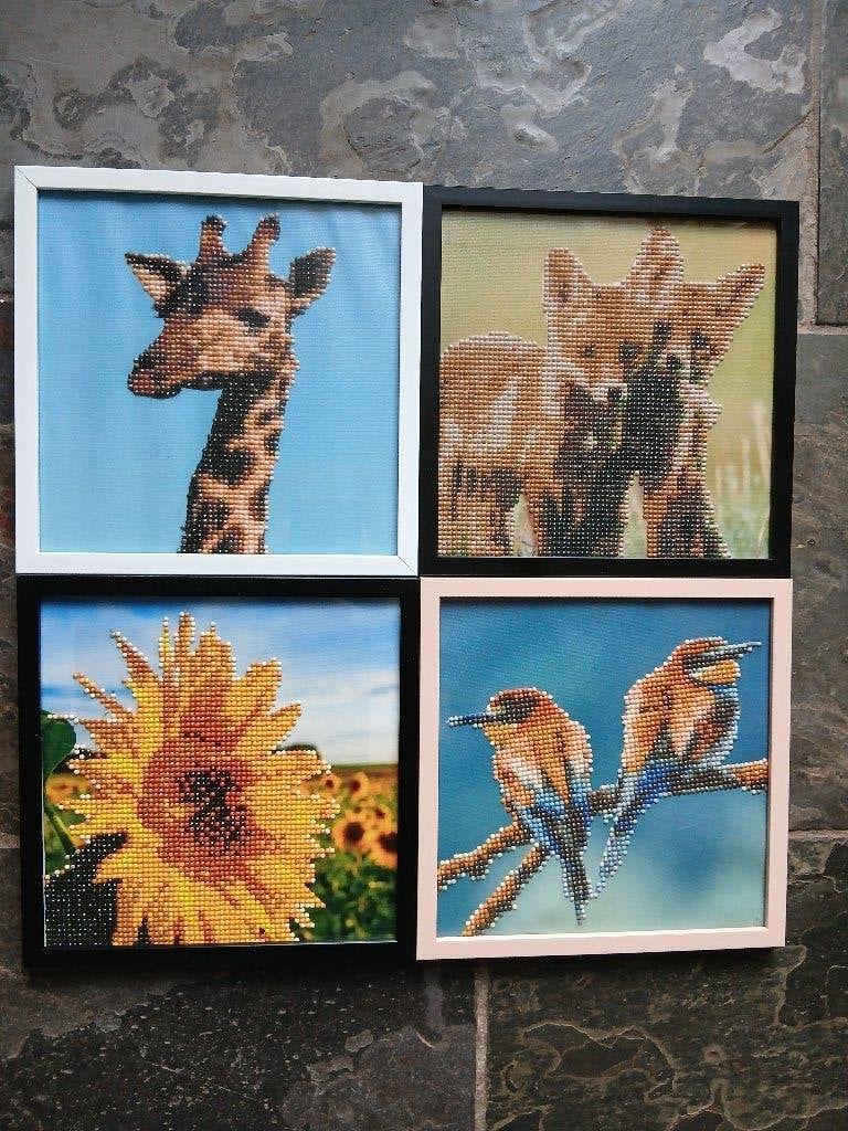 Diamondpainting schilderijen, Ophalen of Verzenden, Nieuw, Klaar om op te hangen, Knutselwerk