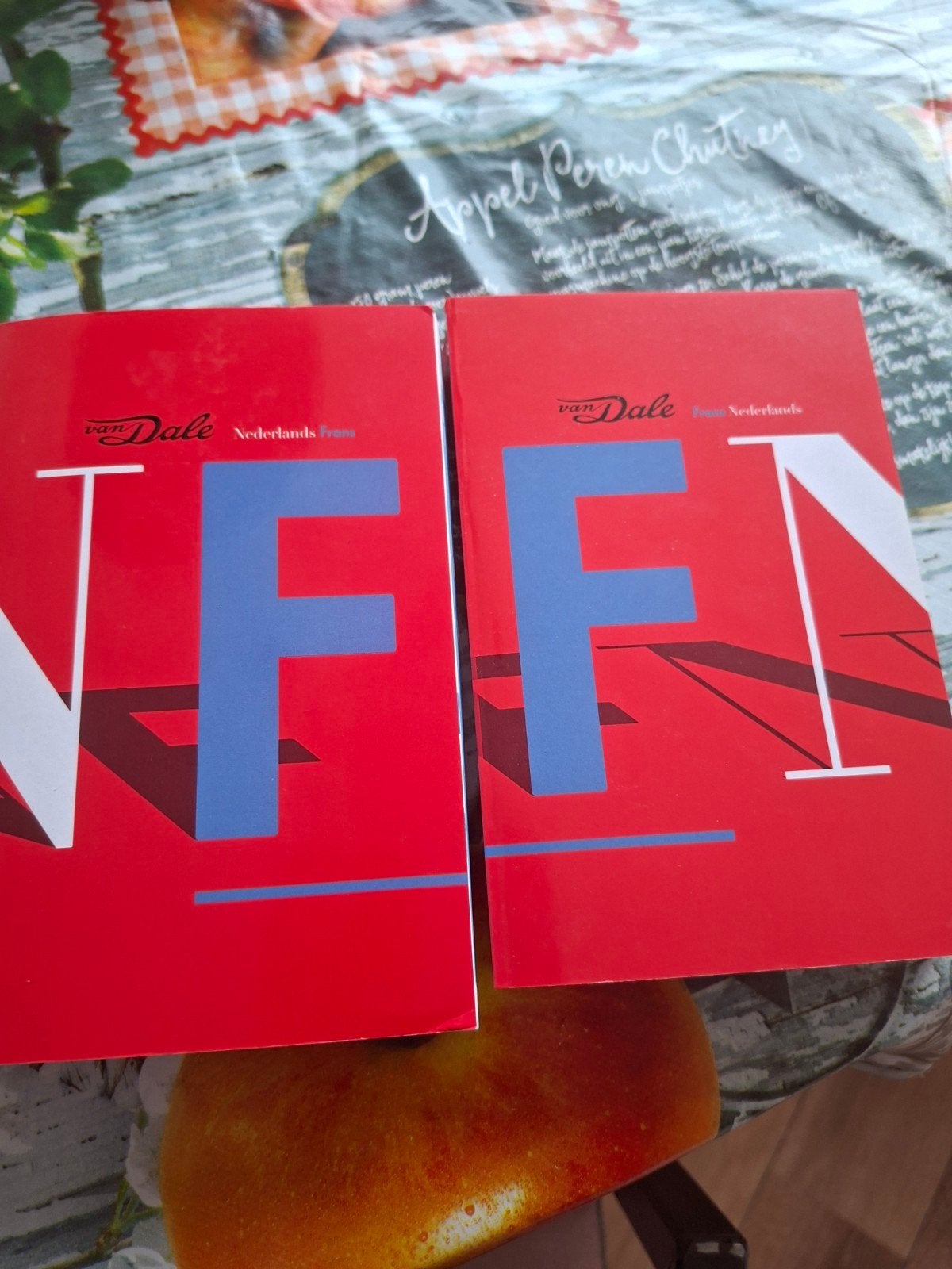 Van Dale Nederlands-Frans & Frans-Nederlands Woordenboek, Non-fictie, Van Dale, Nederlands, Frans, Ophalen of Verzenden