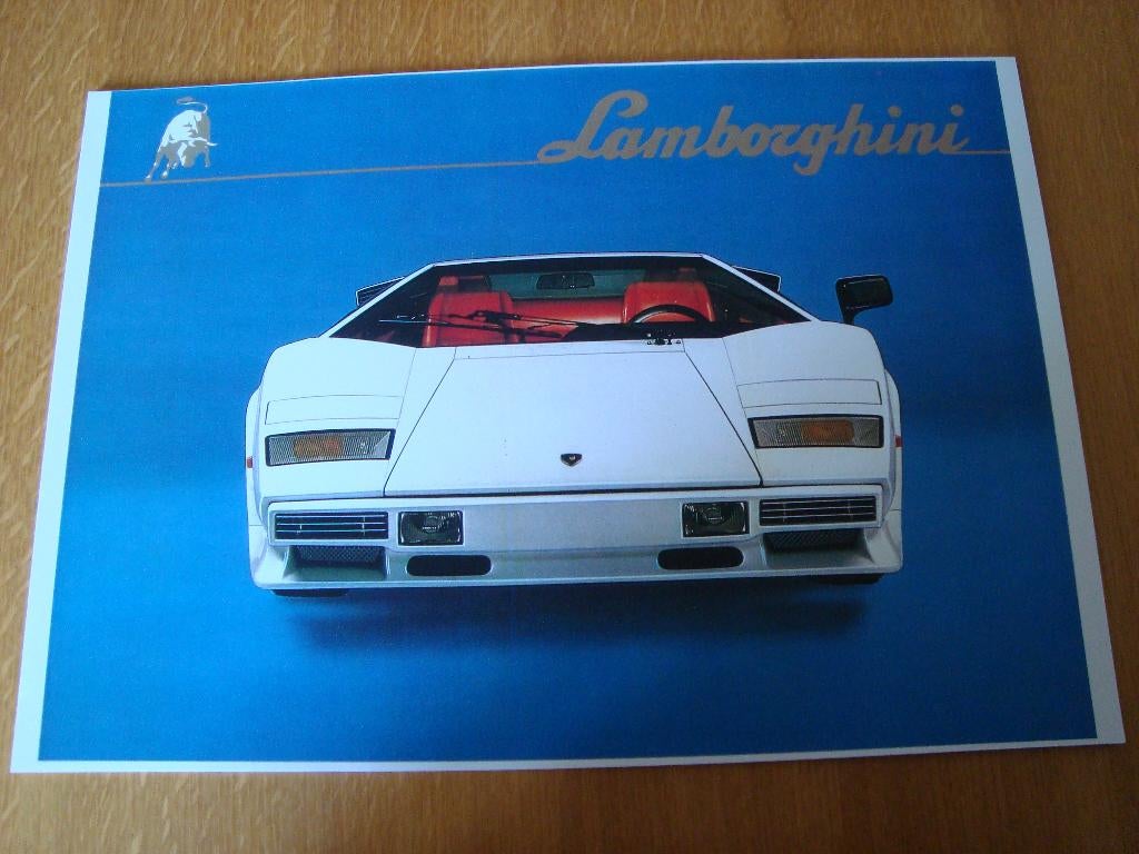 Lamborghini plaat 42-30 cm, Ophalen of Verzenden, Nieuw, Auto's