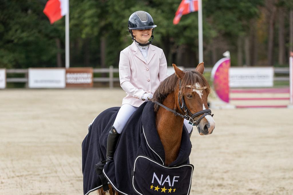 Knappe B springpony, Dieren en Toebehoren, Pony's, Merrie, Springpony, B pony (1.17m tot 1.27m), 11 jaar of ouder