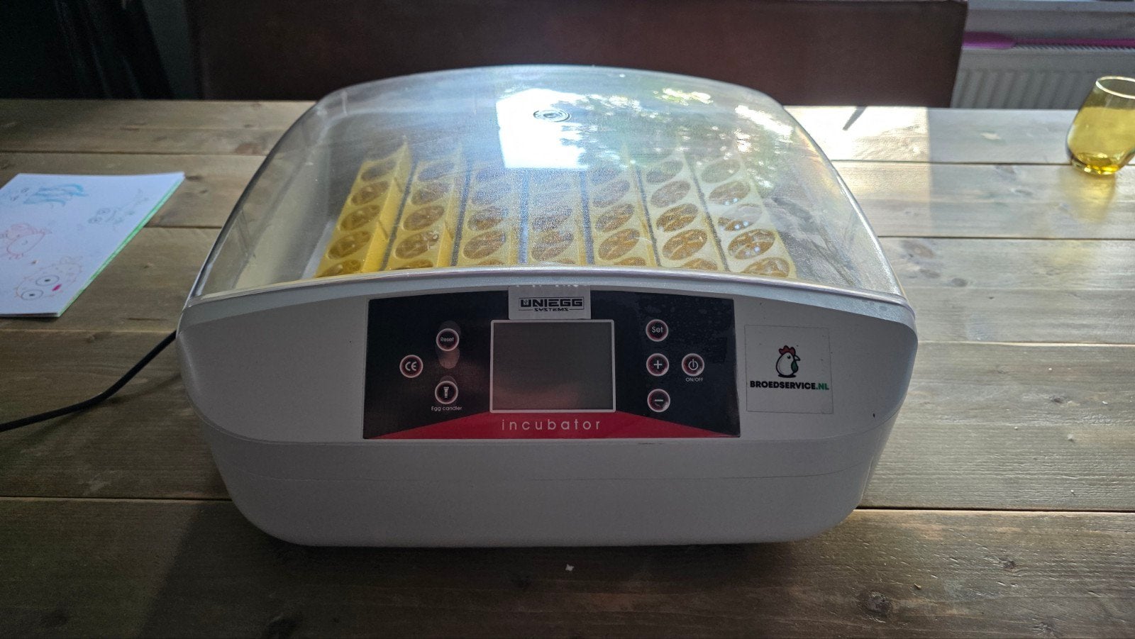 Broedmachine UniEgg – Nieuw, Dieren en Toebehoren, Ophalen, Nieuw, Broedmachine