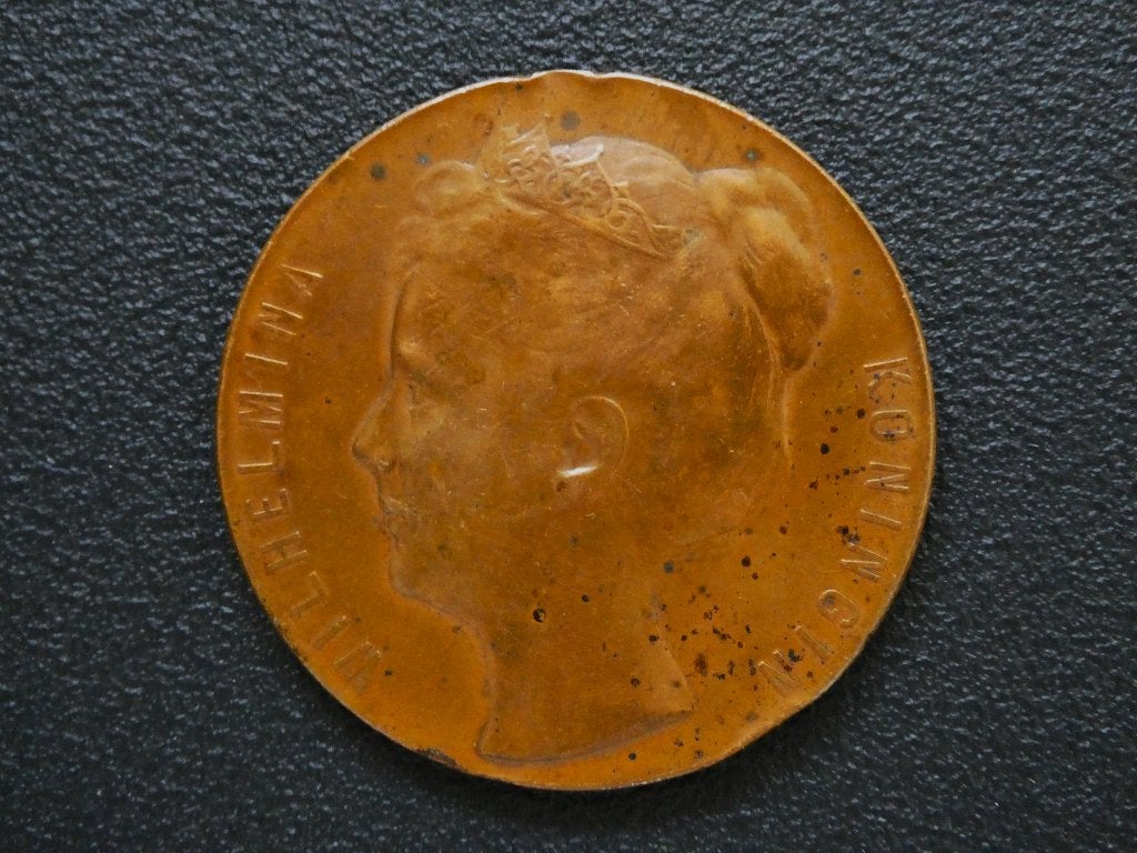 Antieke bronzen herdenkingspenning met Koningin Wilhelmina, Ophalen of Verzenden, Brons, Nederland