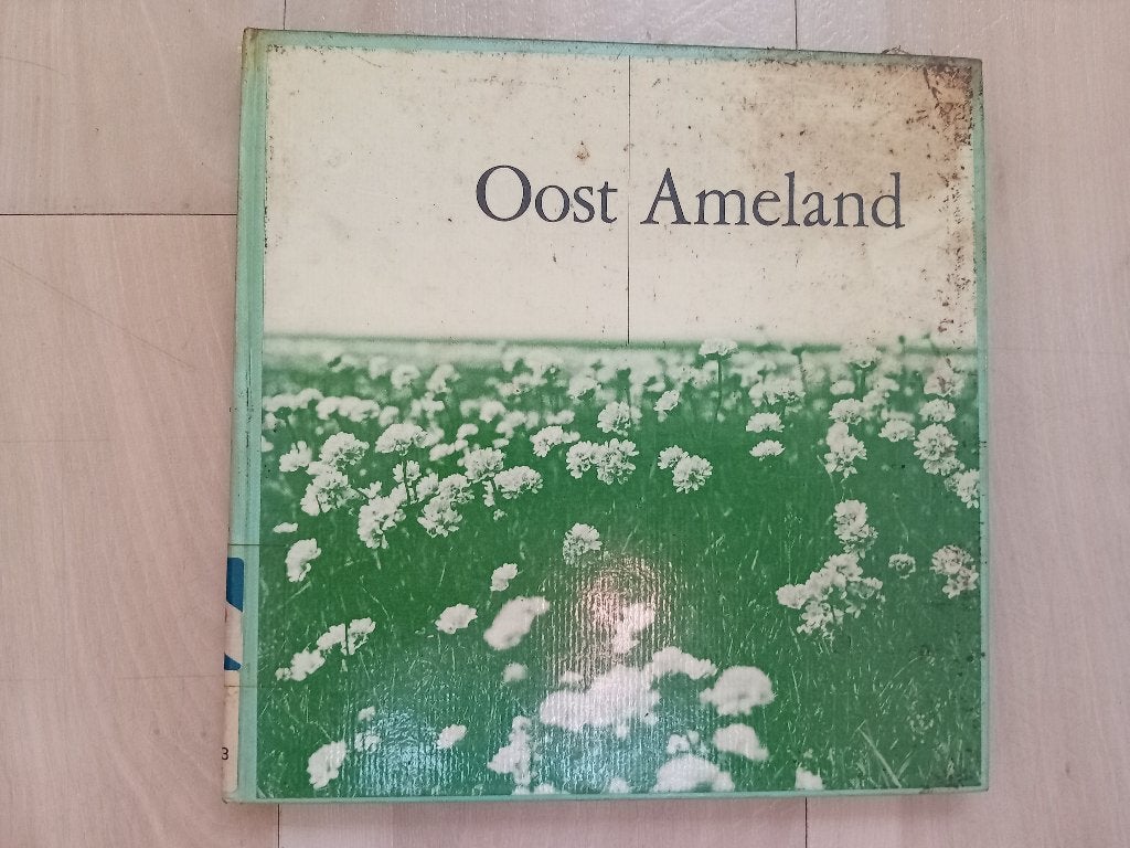 Oost Ameland - Historisch boek over het eiland., Ophalen of Verzenden, 20e eeuw of later, Onbekend, Gelezen