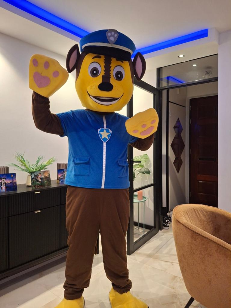 Paw patrol Chase te huur, Ophalen, Zo goed als nieuw, Overige