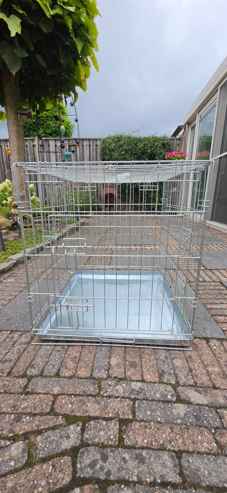 verzinkte bench, Ophalen, Hondenkennel, Minder dan 65 cm, Minder dan 75 cm