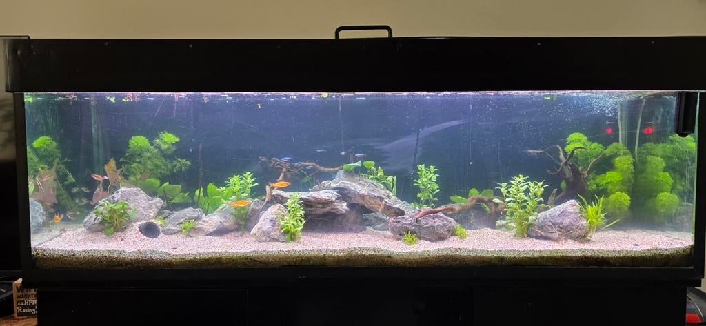 Aquarium 400 liter, Ophalen, Leeg aquarium