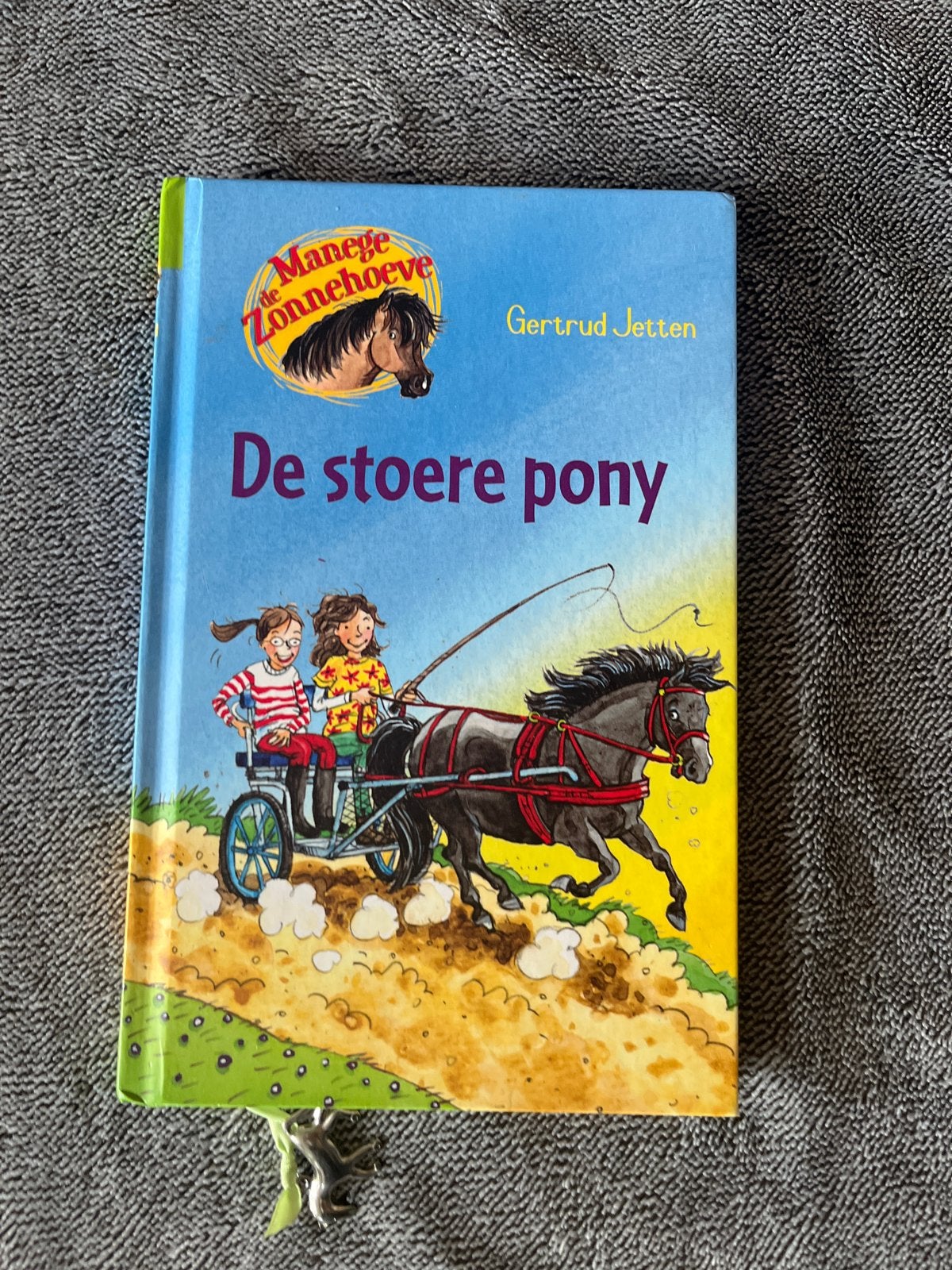 De stoere pony - Manege Zonnehoeve (Gertrud Jetten), Ophalen of Verzenden, Zo goed als nieuw, Fictie