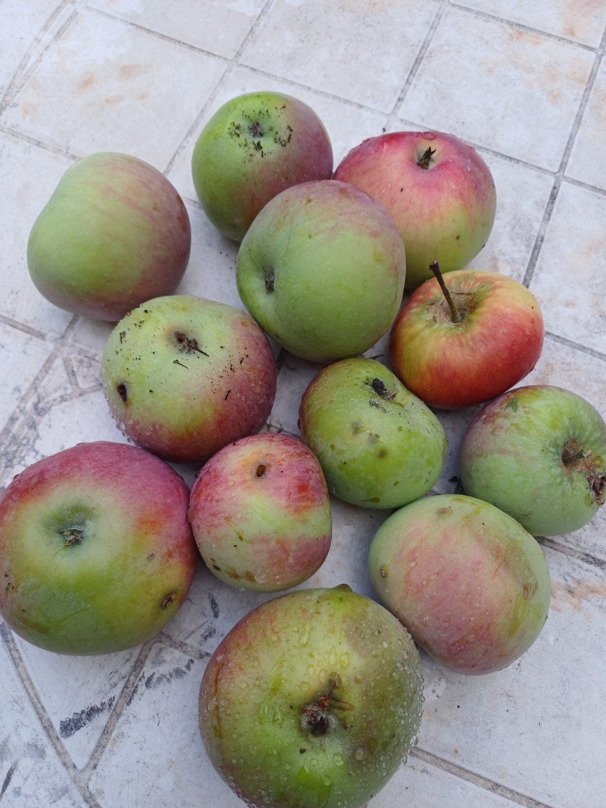 Gratis val- appels voor appeltaart, Diversen, Ophalen