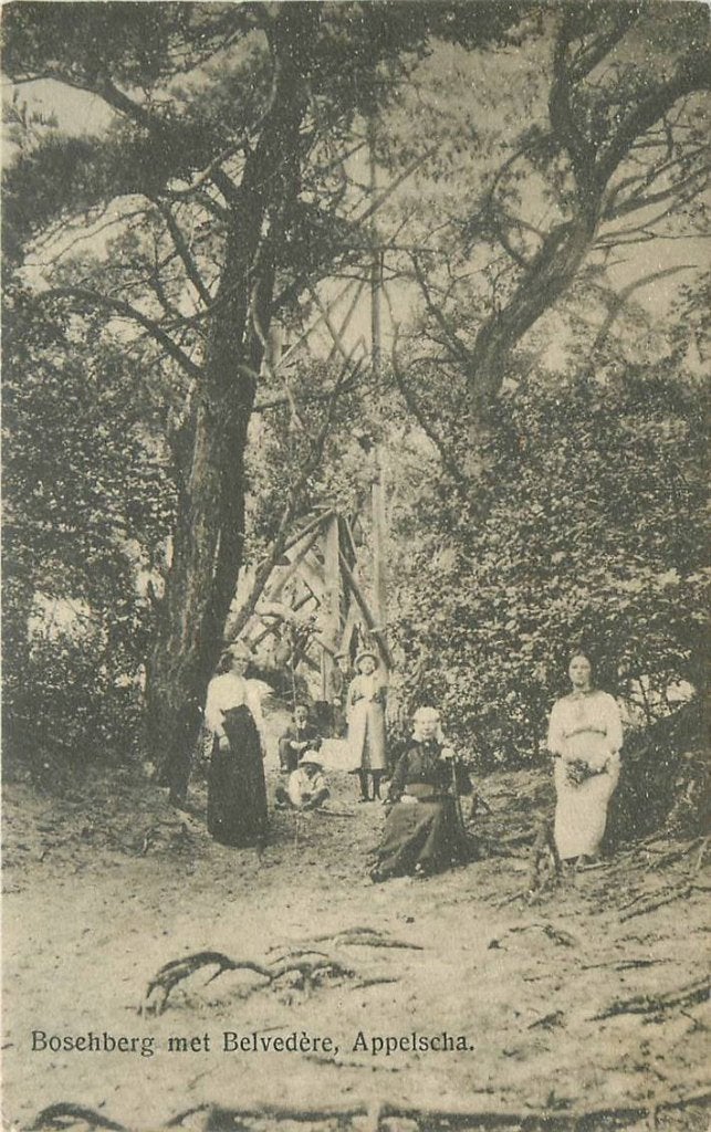 388-419-021 Appelscha Boschberg met Belvedere, Verzenden, Voor 1920, Friesland