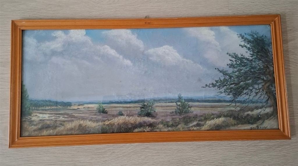 D.J. van Balen, pastel Hooge Veluwe, gesigneerd., Ophalen of Verzenden