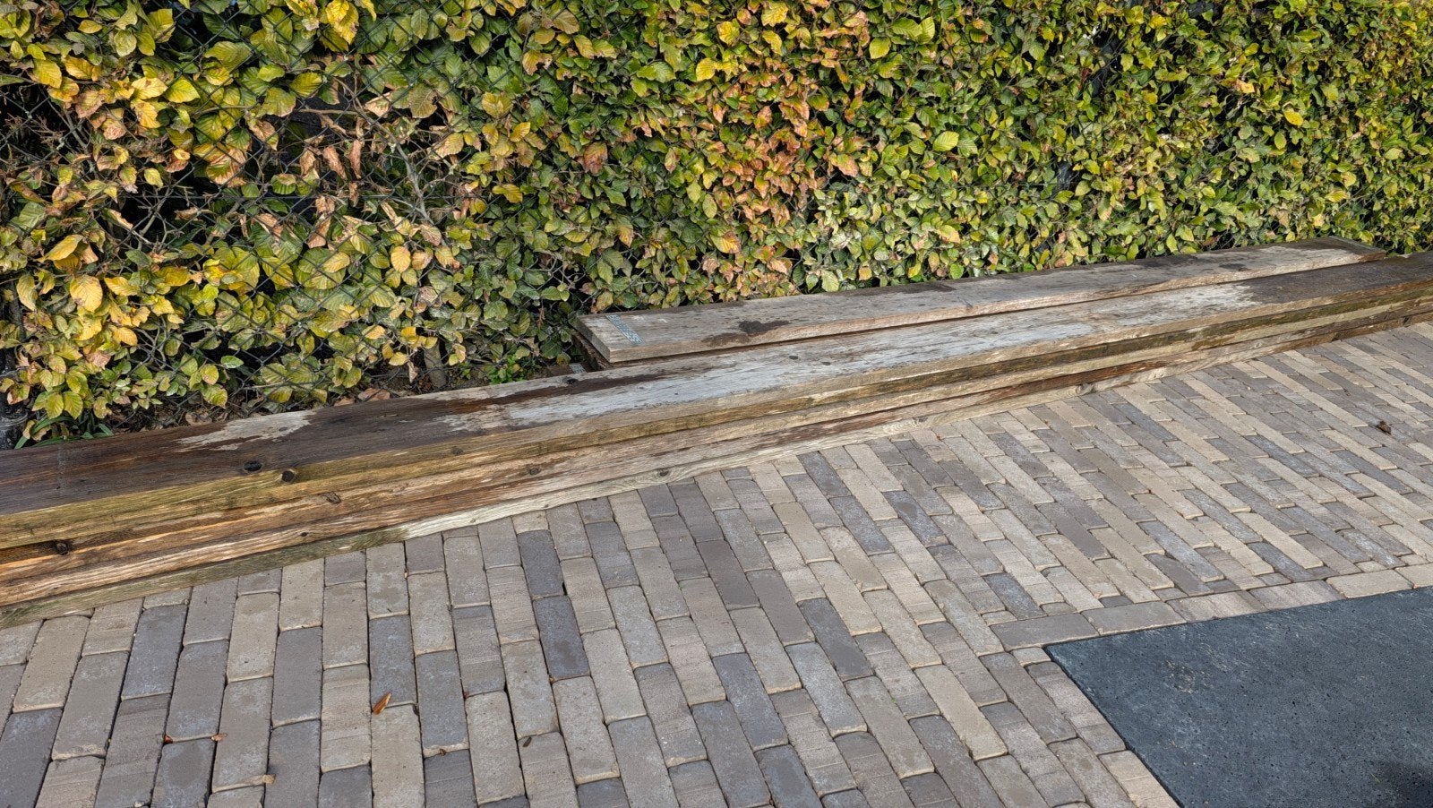 Steigerplanken - 6x 3m, 5x 5m, Doe-het-zelf en Verbouw, Ophalen, Gebruikt, 25 tot 50 mm, Plank