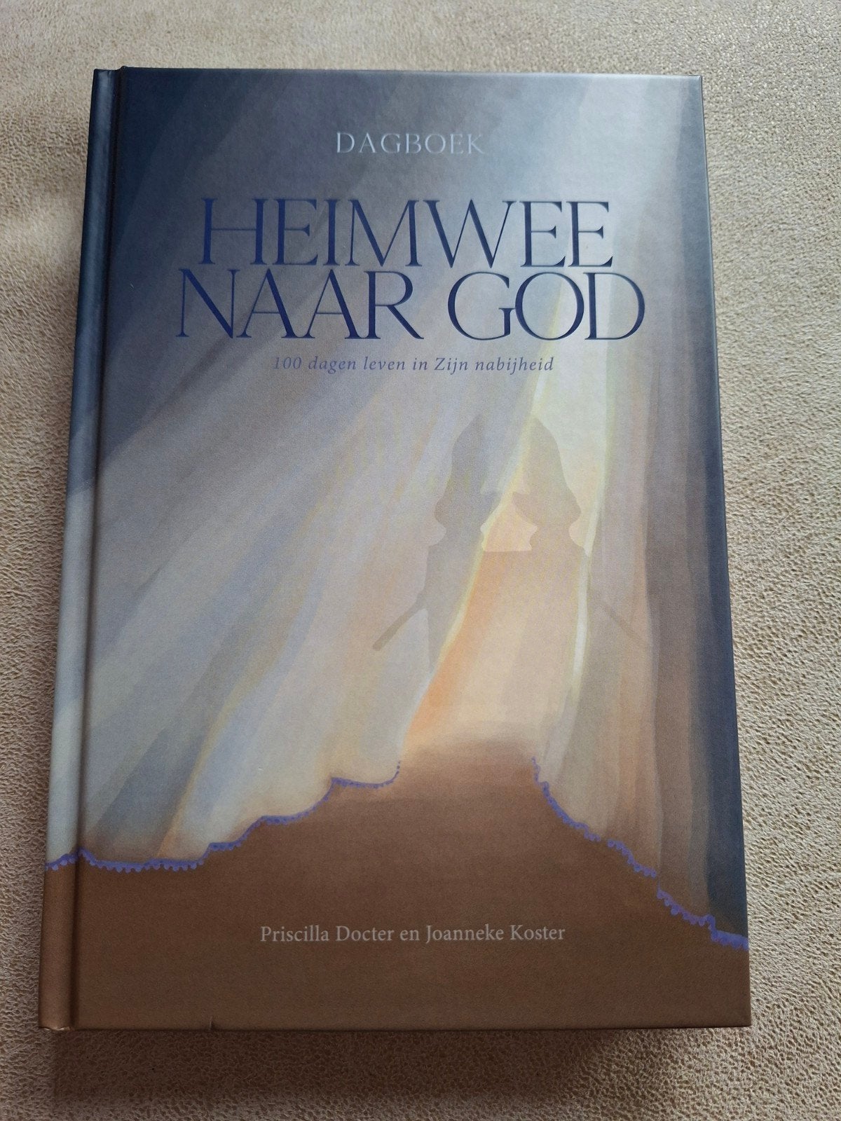 Priscilla Docter - Heimwee naar God, Ophalen of Verzenden, Zo goed als nieuw, Priscilla Docter; Joanneke Koster