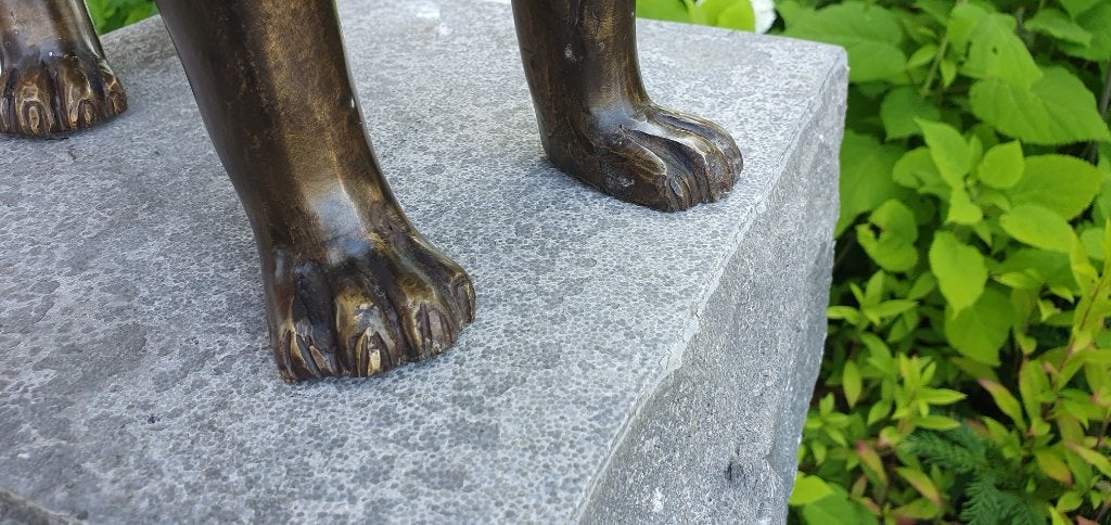 GROTE POES / KAT / BRONZEN TUINBEELD / Brons, Nieuw, Info@huisentuindecoratiemarie.nl, Huis en tuin decoratie marie, Dierenbeeld
