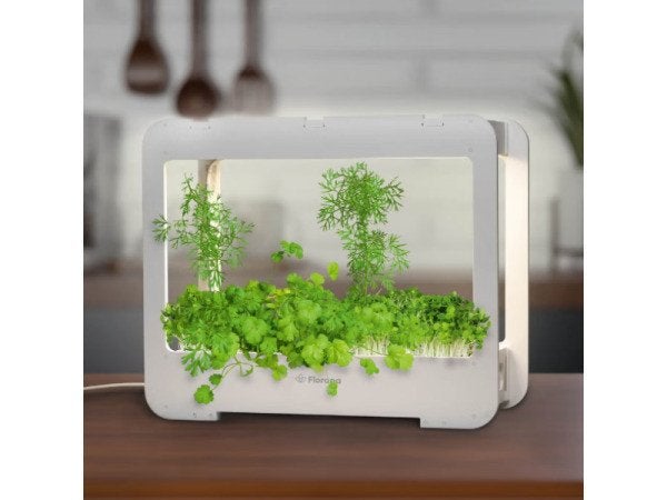 LLED planten kweekbox 14W 4000K met timer nieuw, Ophalen of Verzenden, Eenjarig, Overige soorten, Volle zon