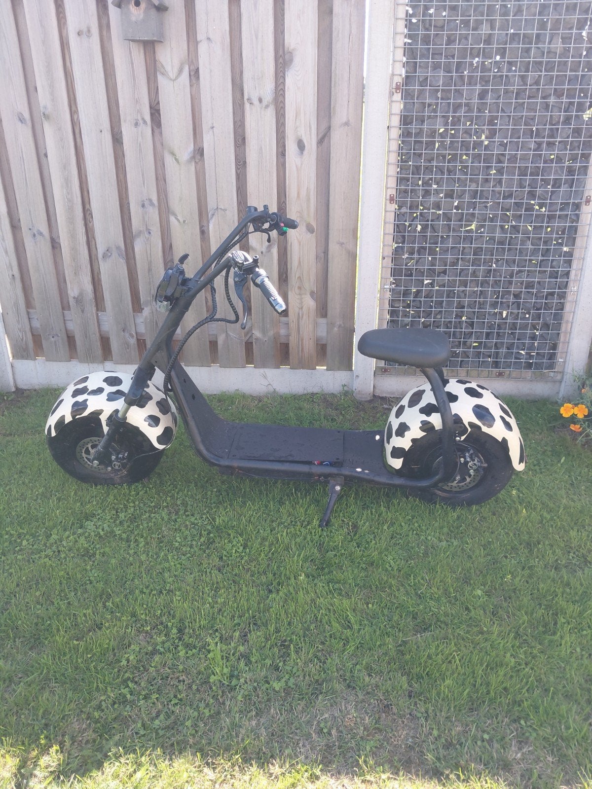scooter, Ophalen of Verzenden, Elektrisch, Overige merken