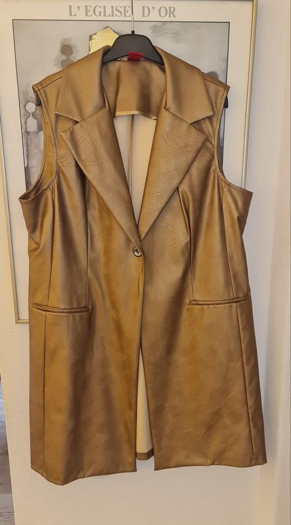 Lang goudkleurig fake leather gilet ONLY-M, valt als 44/46, Overige kleuren, Verzenden, Maat 46/48 (XL) of groter, Zo goed als nieuw