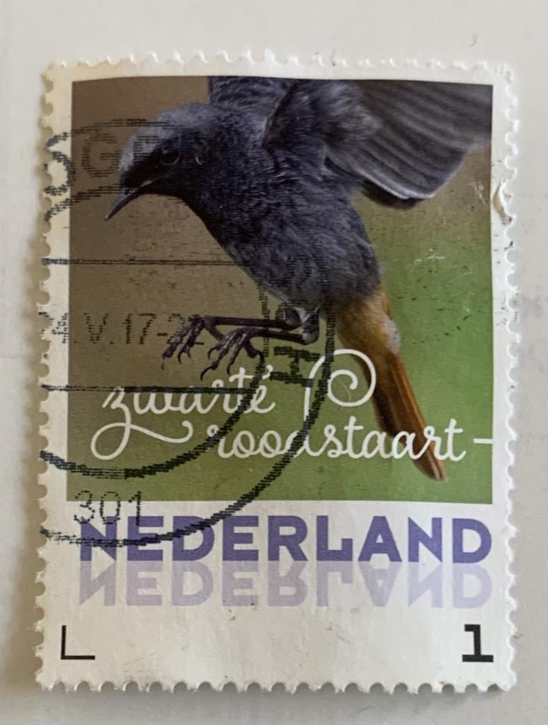 Persoonlijke Zwarte Roodstaart, Ophalen of Verzenden, Gestempeld