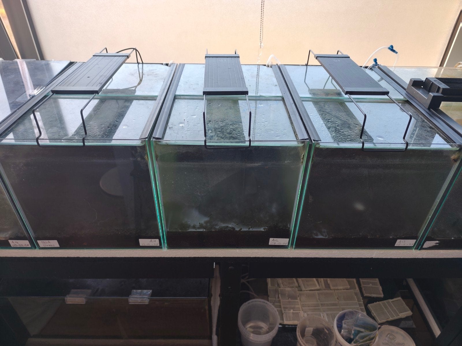 Volglas aquarium 40x25x25 met glazen dekplaat. (Totaal 8x), Ophalen, Gebruikt, Overige merken, Inclusief deksel