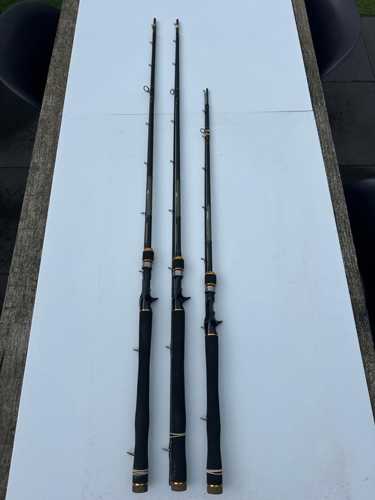 Set van 2 Roofvishengels - Energy Lure & Jig, Watersport en Boten, Hengelsport | Roofvissen, Ophalen of Verzenden, Zo goed als nieuw