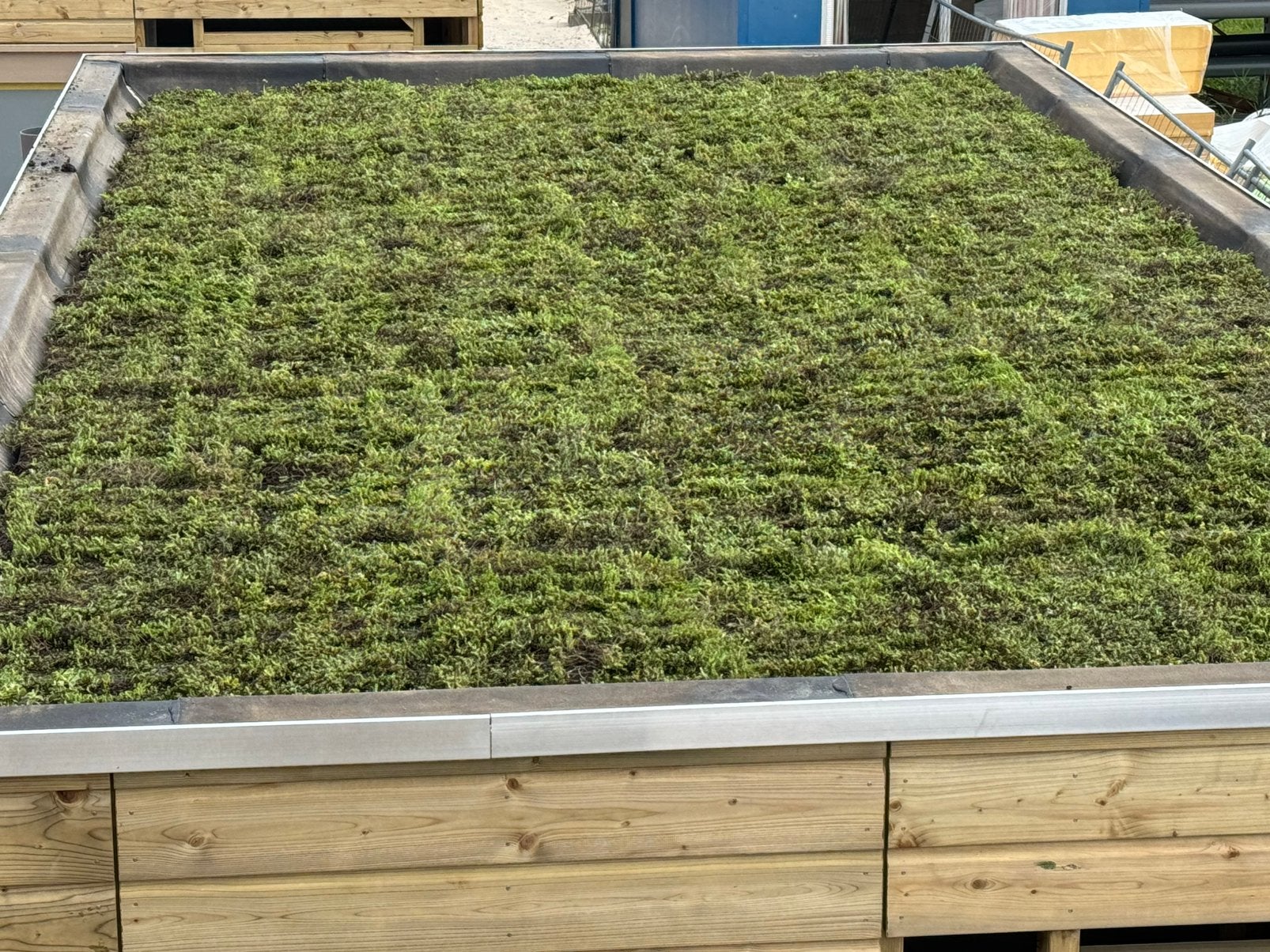 Te koop sedum trays, Tuin en Terras, Ophalen, Zo goed als nieuw, 20 m² of meer