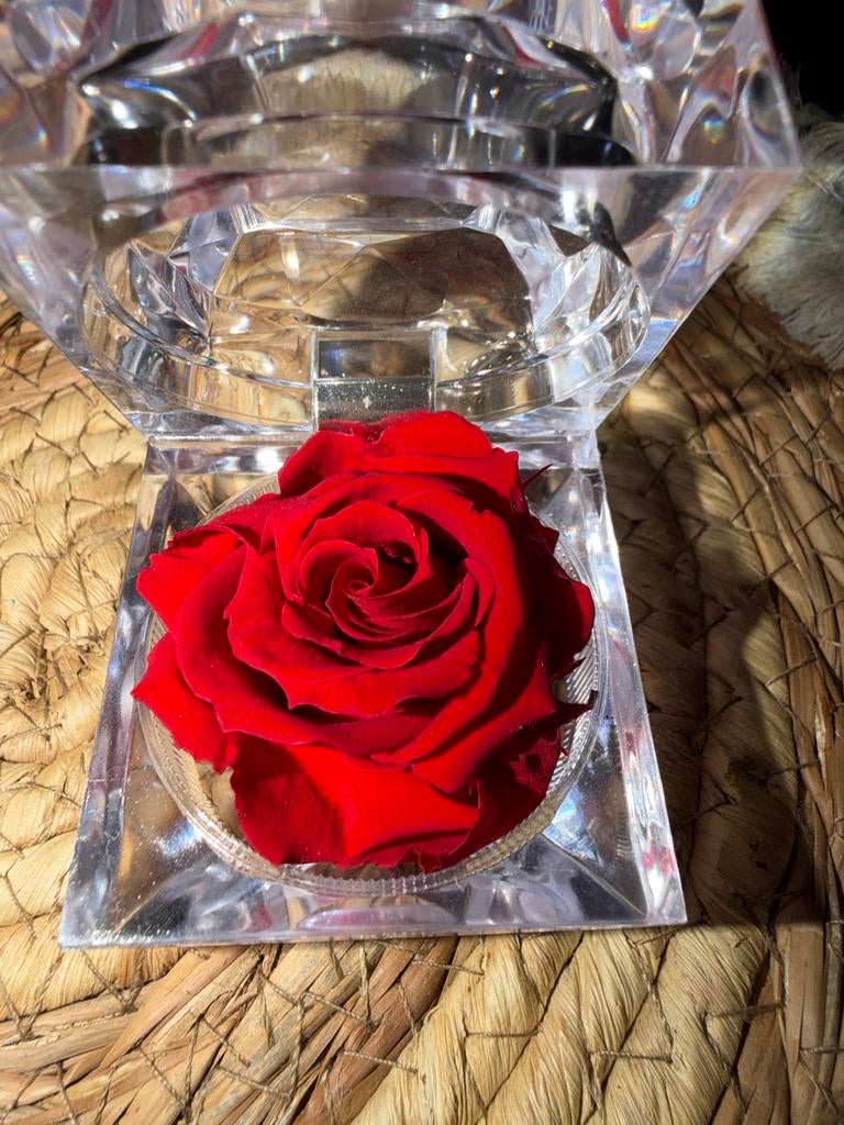 Forever Living Rose Dubai Bling - Prachtige Rode Roos, Verzenden, Nieuw, Kunststof, Modern