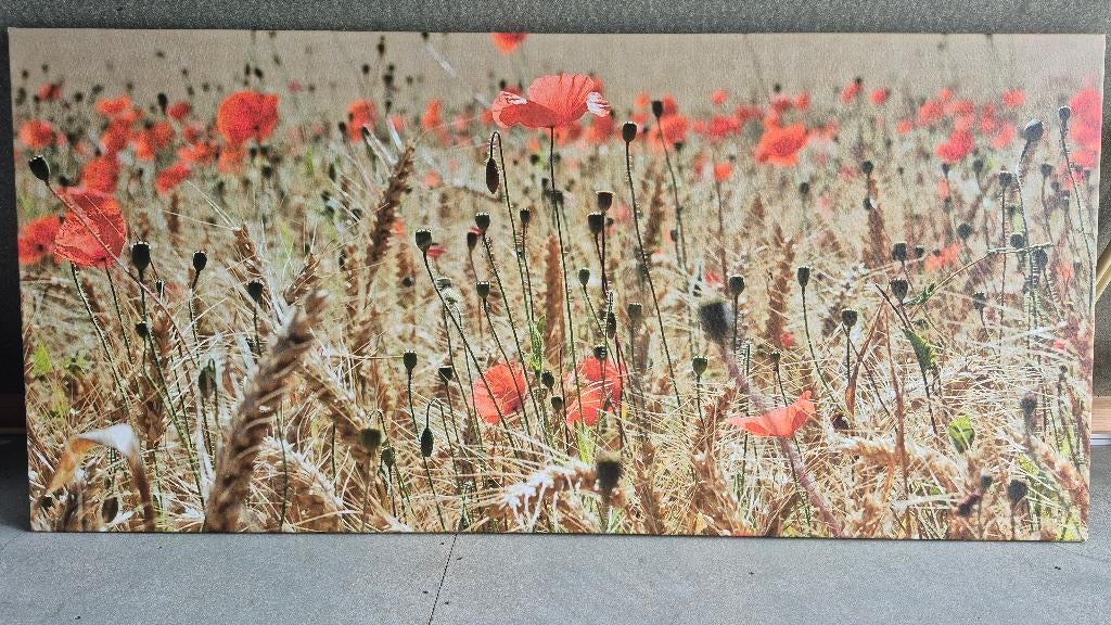 Schilderij klaprozen canvas doek., Ophalen