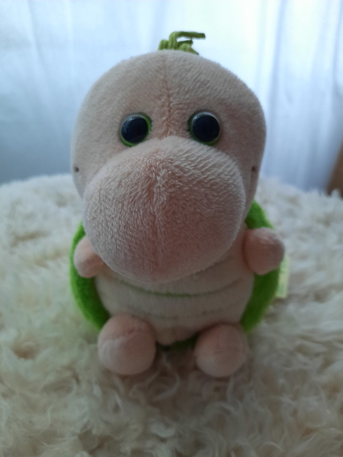 Teo & Too knuffel schildpad met label, Ophalen, Overige merken, Overige karakters, Overige typen